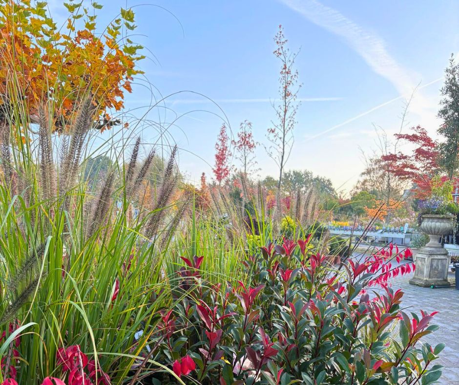 https://www.abbing.nl/wp-content/uploads/2025/10/Tuinplanten-oktober.jpg