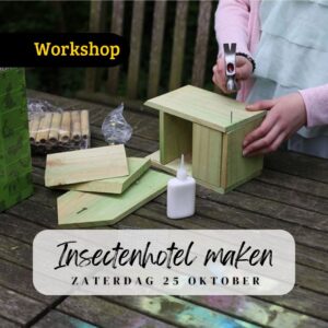 https://www.abbing.nl/wp-content/uploads/2025/10/Workshop-Insectenhotel-maken-25-oktober-2025-1080-x-1080-px-300x300.jpg