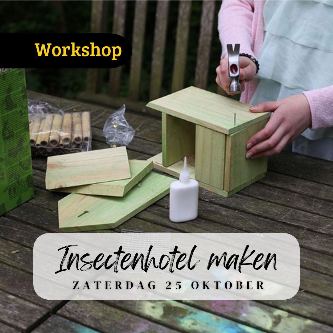 https://www.abbing.nl/wp-content/uploads/2025/10/Workshop-Insectenhotel-maken-25-oktober-2025-1080-x-1080-px.jpg